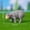 D, variant on Clearance Under $1 Miniature Sheep Figurine, Style F Realistic Resin Animal Decor, 1PC Handmade Farmhouse Tabletop Ornament