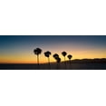 thumbnail image 2 of Carpentieri, Natalie 32x13 White Modern Wood Framed Museum Art Print Titled - Dusk in Cali, 2 of 4