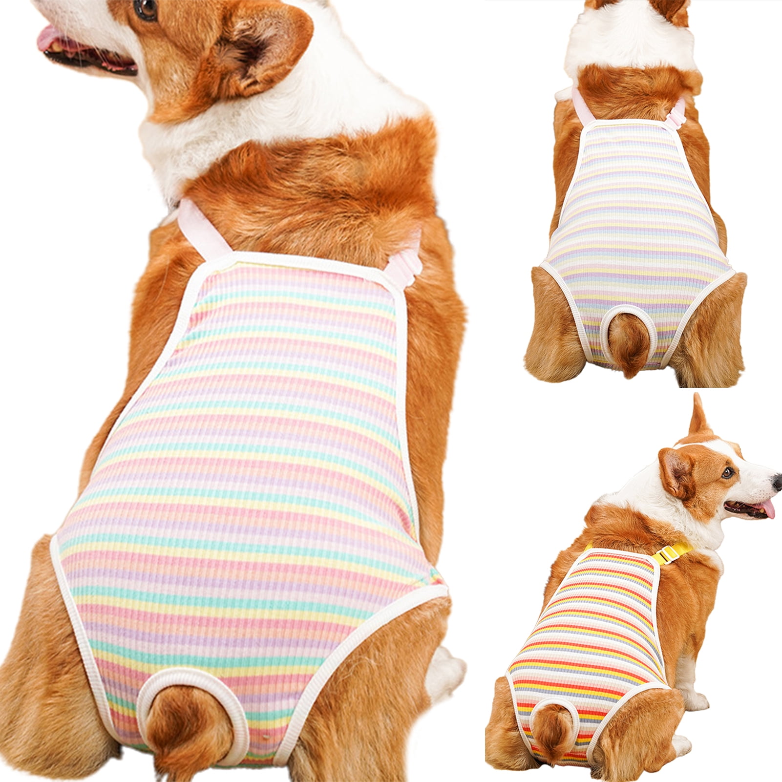 Dog period pants discount