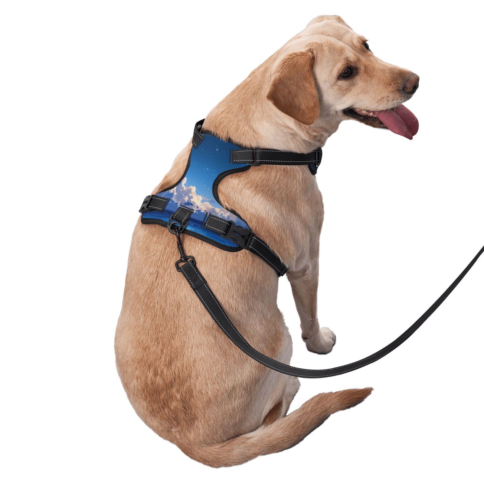 Vsdgher Starry Night Ocean View Dog Harness, No-Pull Pet Harness, Dog Vest, Pet Vest for Small to Large Dogs-Large