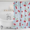 thumbnail image 2 of Shower Curtain Bathroom Set Watercolor Cherry Red Fruit Art Waterproof Fabric Shower Curtains with Grommets&Hooks, Light Blue Stripe Texture Privacy Bath Curtain for Bathtub 72x72in, 2 of 9