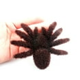thumbnail image 6 of Halloween Realistic Hairy Fake Spiders, 3.7x4.5 inch Spiders Scary Joke Prank Toy for Halloween Decoration, Funny Halloween Fake Spiders Decoration (Dark Brown 4pcs), 6 of 9