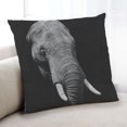 thumbnail image 1 of Ahgly Company Color Focus Black Coussin Intérieur, 18 Pouces par 18 Pouces, 1 of 6