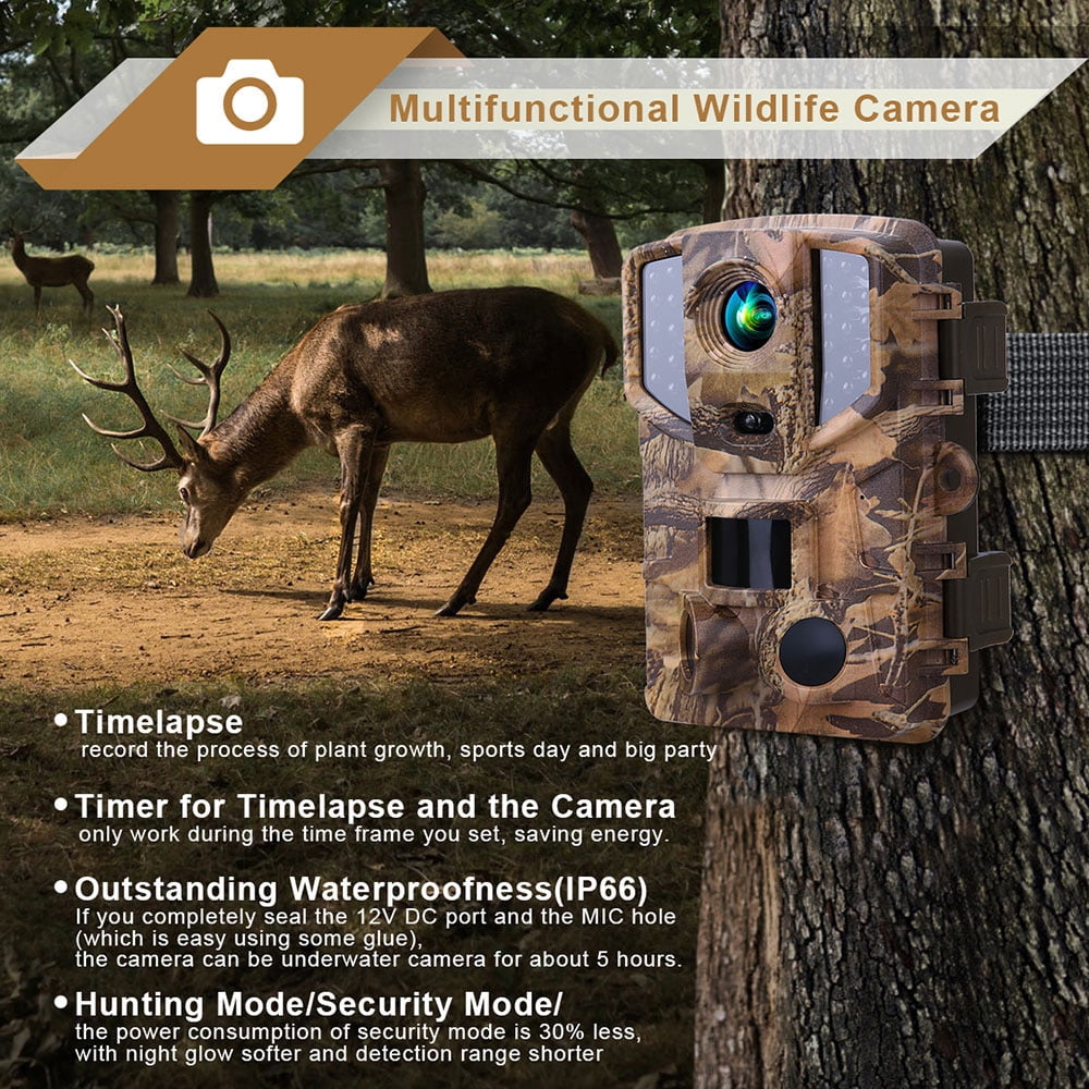 20MP 1080P Hunting Trail Camera Wildcamera Wildlife Surveillance 8GB SD Card 