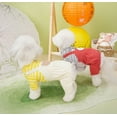thumbnail image 4 of Adorable Pet Clothes for Cats & Small Dogs - Charming Spring & Autumn Wear., 4 of 4