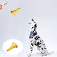 thumbnail image 2 of Juguetes para perros: juguetes para morder, limpiar los dientes y entrenar a tu mascota, 2 of 5