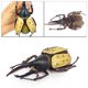 thumbnail image 3 of Modelo De Insecto Simulado Modelo De Insecto Realista Insecto De Plástico Y Decoración De Insectos Juguetes Para Niños Eigraketly FN007276-02, 3 of 6