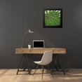thumbnail image 4 of Davis, Andrea 20x20 Black Modern Framed Museum Art Print Titled - Planta Green VIII, 4 of 5