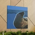 thumbnail image 6 of Sea Lion Pop Pop - Canvas, 6 of 10