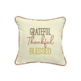 thumbnail image 2 of Sunbrella  "Grateful Thankful Blessed" Indoor/ Outdoor Pillow - 18 in L x 18 in W, 2 of 4