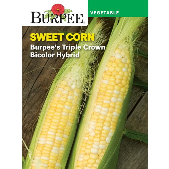 Burpee Burpee's Triple Crown Bicolor Hybrid Sweet Corn Vegetable Seed, 1-Pack