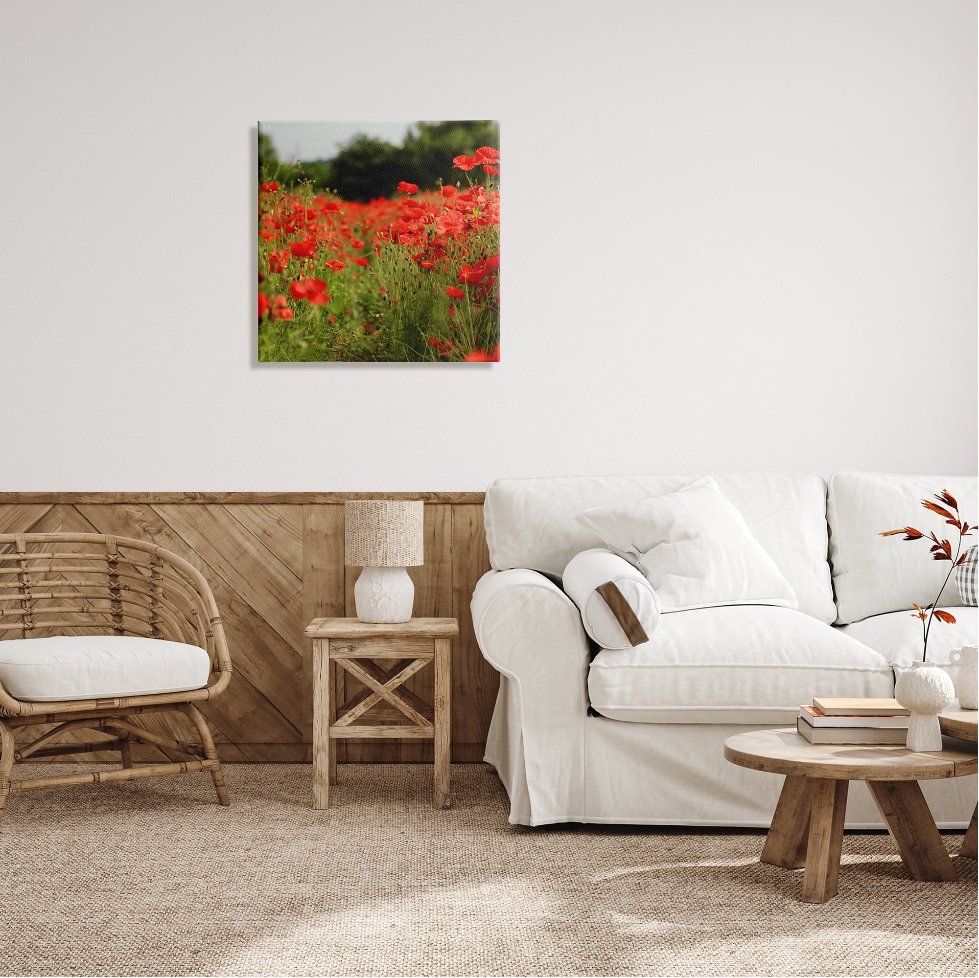 Stupell Industries Brilliant Red Poppy Meadow Scenic Flower Blooms Photograph Gallery Wrapped Canvas Print Wall Art, Design by Dan Meneely