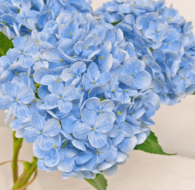 RuWeoMaa Real Touch Blue Hydrangea Artificial Flowers with Stems, Fake Silk Flowers for Outdoors, 1 Pcs Artificial Flowers for Home Decor Wedding Bouquets Centerpieces Vase
