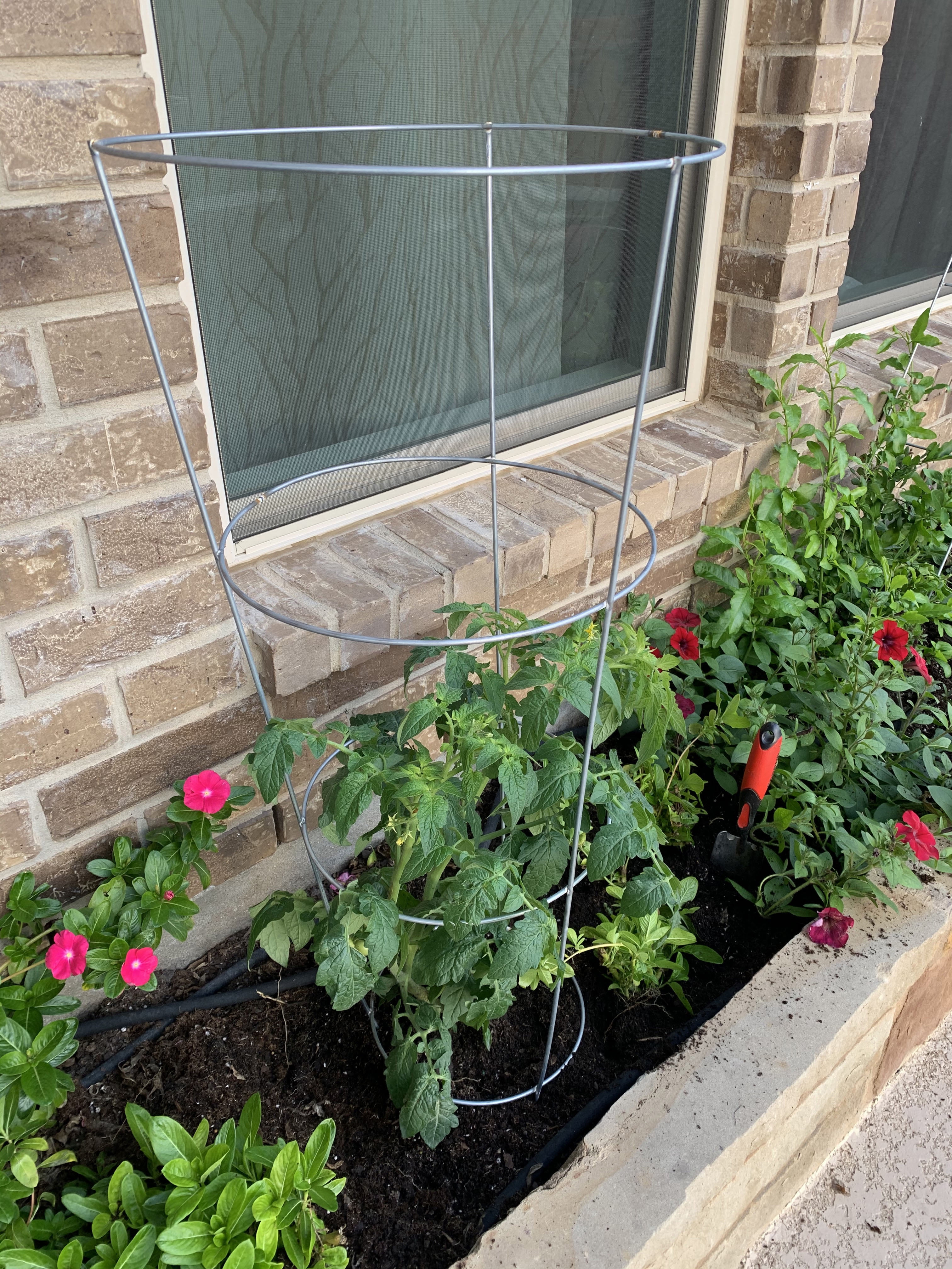 Glamos Wire 42 inch Tomato Cage 10 Pack Plant Support for Tomatoes, Peppers, and Vegetables