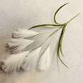 thumbnail image 2 of Namzi Wire Stem Artificial Flowers Pampas Grass Bohemian Style Realistic Non-Fading Fluffy Simulation Faux Arrangements for Wedding Home Decoration White 6pcs, 2 of 4