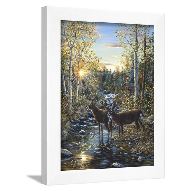 Whitetail Deer Framed Print Wall Art By Jeff Tift Walmart Com Walmart Com