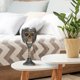 thumbnail image 5 of Wdftyju Taza 3D Halloween Scary Bones Decor Diseño retro Copa Copa de vino Regalos de Halloween Wdftyju 5jb8az6ry9rb3qb5D02, 5 of 9