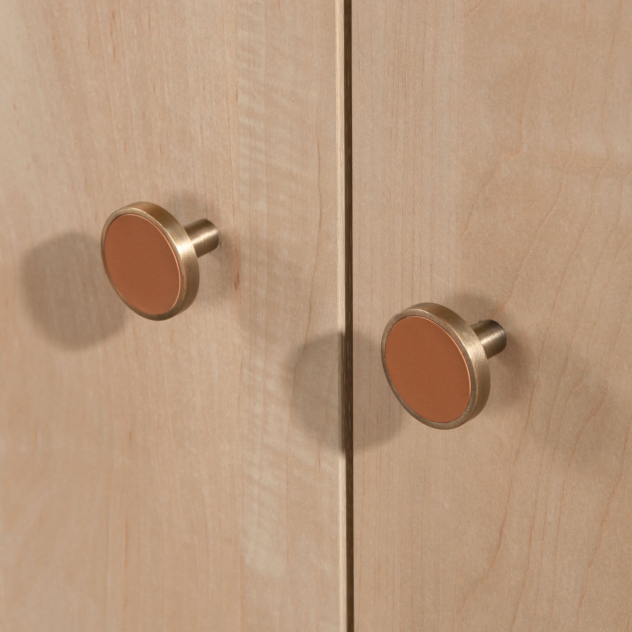 Sauder Select Engineered Wood Storage Cabinet in Natural Maple Finish