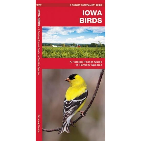 Pocket Naturalist Guides: Iowa Birds: A Folding Pocket Guide to Familiar Species (Other)