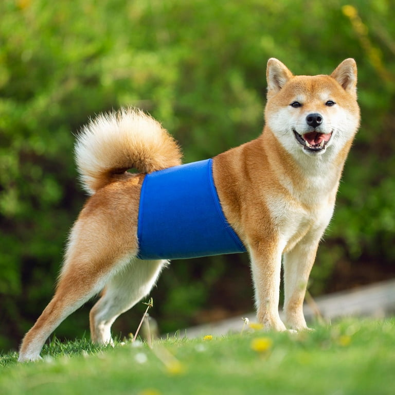 Mairbeon Pet Belly Band Adjustable Leak proof Fabric Diaper Dog