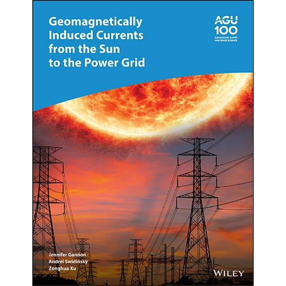 Geophysical Monograph: Geomagnetically Induced Currents from the Sun to the Power Grid (Hardcover)