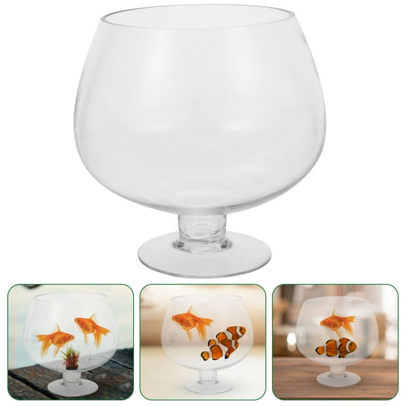 Masteelf  Small Aquarium Fish Tanks and Aquariums Glass Goldfish Bowl Office