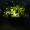 thumbnail image 4 of LED Solar Garden Lights Solar Flower Light Pot Decorative Light Waterproof Green Plant Lamp For Garden Pathway Indoor Outdoor, 4 of 8