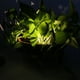 thumbnail image 3 of Luces LED solares para jardín, luz solar para flores, luz decorativa para macetas, lámpara verde impermeable para plantas, para caminos de jardín, interiores y exteriores, 3 of 8