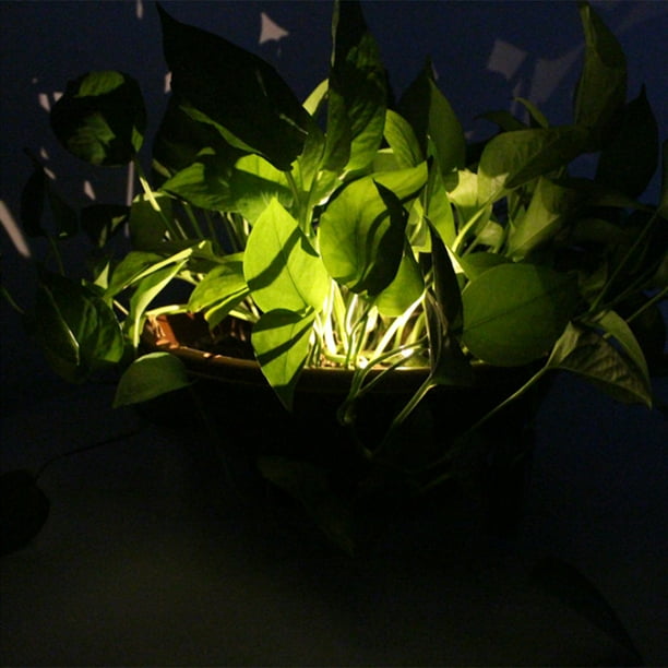 Luces LED solares para jardín, luz Solar para maceta, luz decorativa, lámpara de planta verde impermeable para camino de jardín, interior y exterior