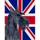 Carolines Treasures SS4971CHF Écossais Terrier avec l'Anglais Union Jack Drapeau Britannique Drapeau Toile Maison Taille – image 1 sur 4