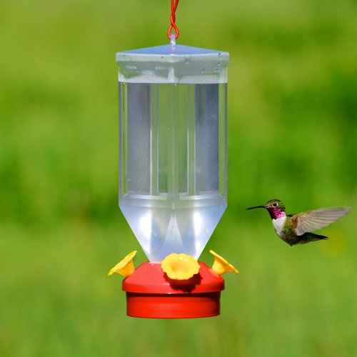 Perky-Pet Red Plastic Lantern Hummingbird Feeder - 18 oz Capacity - image 3 of 5