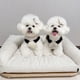thumbnail image 4 of Rabbit Dress Pet Dog Clothes Fashion Clothing Dogs Lovers Super Small Cute Chihuahua Print Summer White Girl Boy Mascotas ShopWise Round, 4 of 8