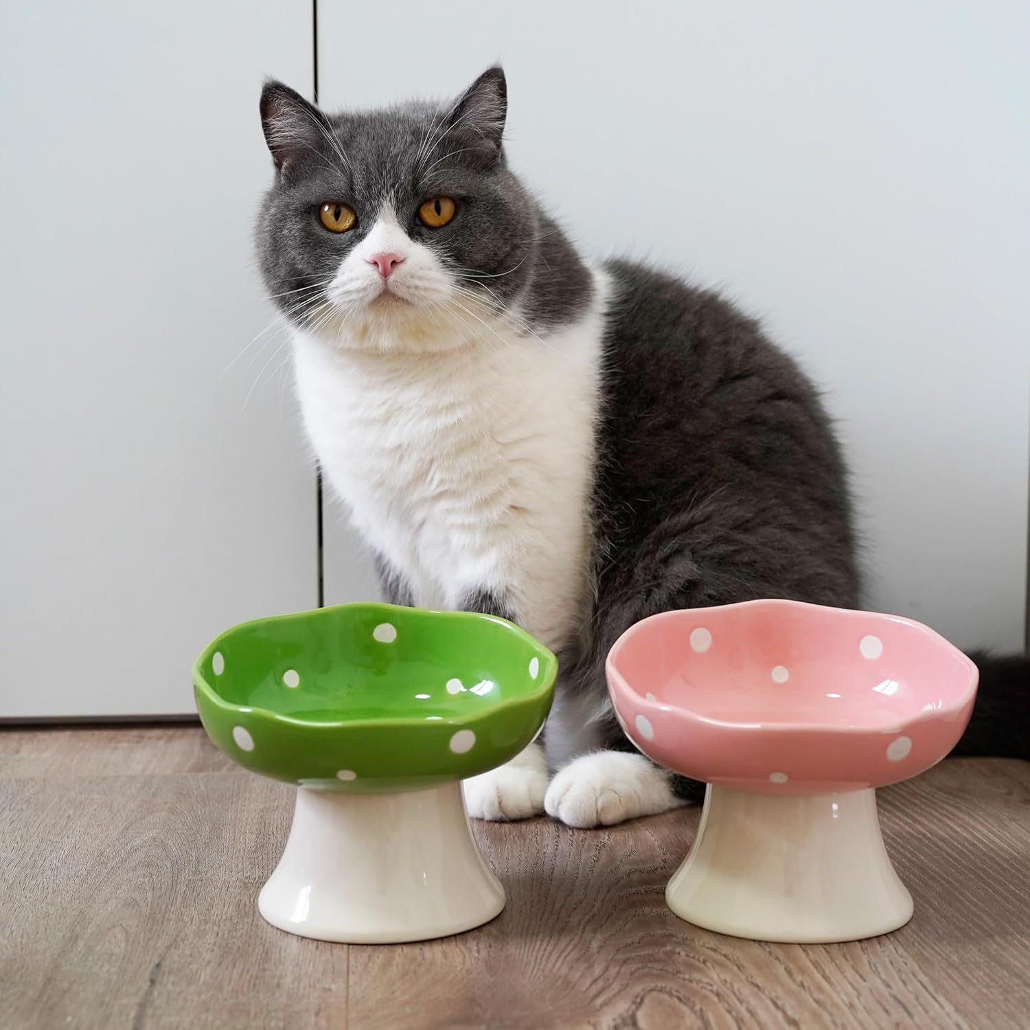 Ceramic Elevated Cat Bowls, Tilted Raised Pet Dish Anti Vomit Kitten Bowl for Indoor Cats, Whisker Friendly Pet Food and Water Bowl for Kitten, Cat, Puppies, Dishwasher Safe (Green)