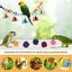 thumbnail image 3 of 17 Uds. De juguetes para loros, juguetes para pájaros, juguetes para masticar jaulas para pájaros, columpios, perchas de madera, campanas para pájaros, loros, colores aleatorios ER, 3 of 5