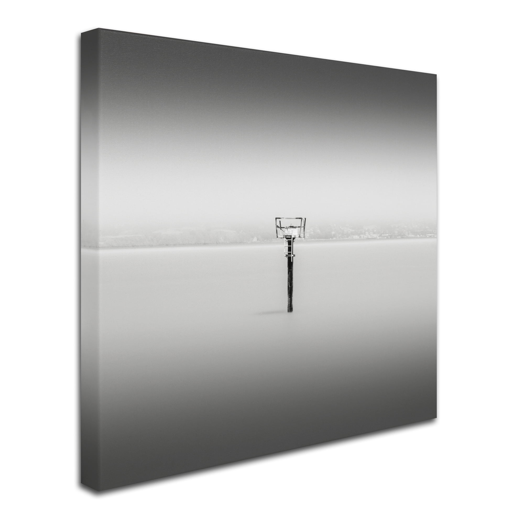 Trademark Fine Art "Isolation" Canvas Art by Dave MacVicar