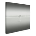 thumbnail image 3 of Trademark Fine Art "Isolation" Canvas Art by Dave MacVicar, 3 of 4