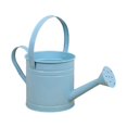 thumbnail image 1 of Regadera de metal con cabezal rociador, herramienta de jardinería, regalo práctico para plantas de interior, cubo de jardín para el hogar, flores de interior. Azul, 1 of 8