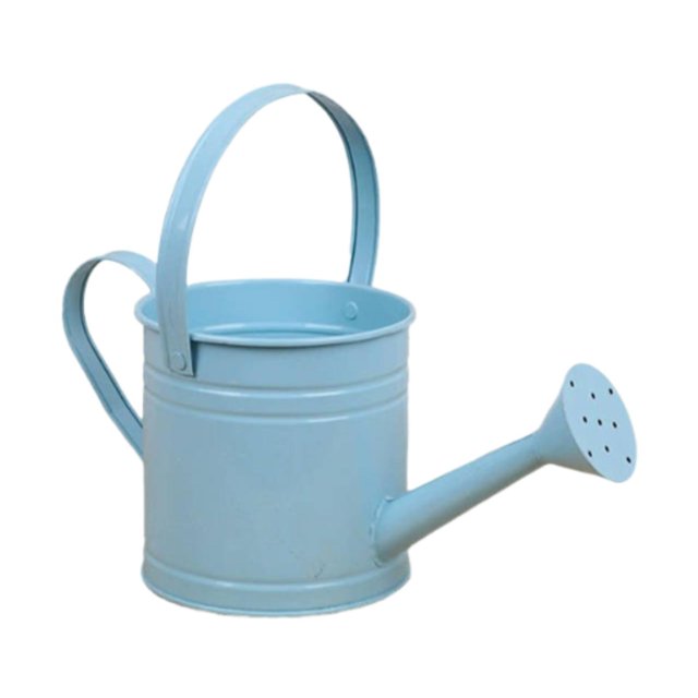 Regadera de metal con cabezal rociador, herramienta de jardinería, regalo práctico para plantas de interior, cubo de jardín para el hogar, flores de interior. Azul
