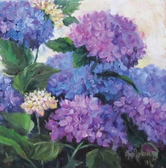 Hydrangea Canvas Ar