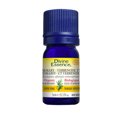 thumbnail image 2 of DIVINE ESSENCE Rosemary - Verbenone Type (Organic - 5 ml), 2 of 3