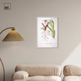 thumbnail image 2 of Art Remedy Botanical Prints Canvas, 20" x 30", White Frame, Sunbird from Oiseaux Brillans, 2 of 7