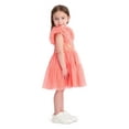 thumbnail image 2 of Disney Princess Toddler Girl Ballerina Dress, Sizes 12 Months-5T, 2 of 2