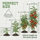 thumbnail image 5 of Soporte para plantas K-Brands, jaula para tomates de 3 piezas, 173 cm de alto, 5 of 9
