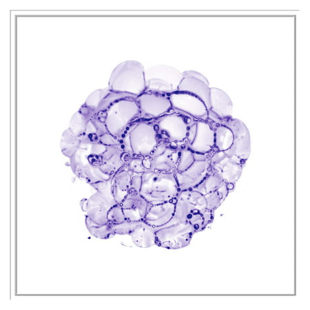 PTM Images Cellular Clouds in Purple B Framed Wall Art