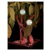 13" Illuminaries Pot Sticker [Set of 24]