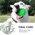 thumbnail image 5 of Fetch pour Chiens, Jouets en Caoutchouc S, 5 of 5