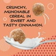 thumbnail image 3 of Cinnamon Wonderworks Keto Friendly Breakfast Cereal and Snack, 1g sugar, 10.2 oz, 3 of 8
