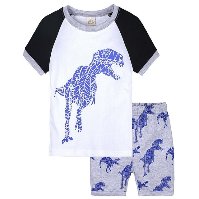 Toddler Pajamas Set Dinosaur Print Pullover Crewneck Soft Spring Fall Pajamas Pajamas Girls 12-18 Months