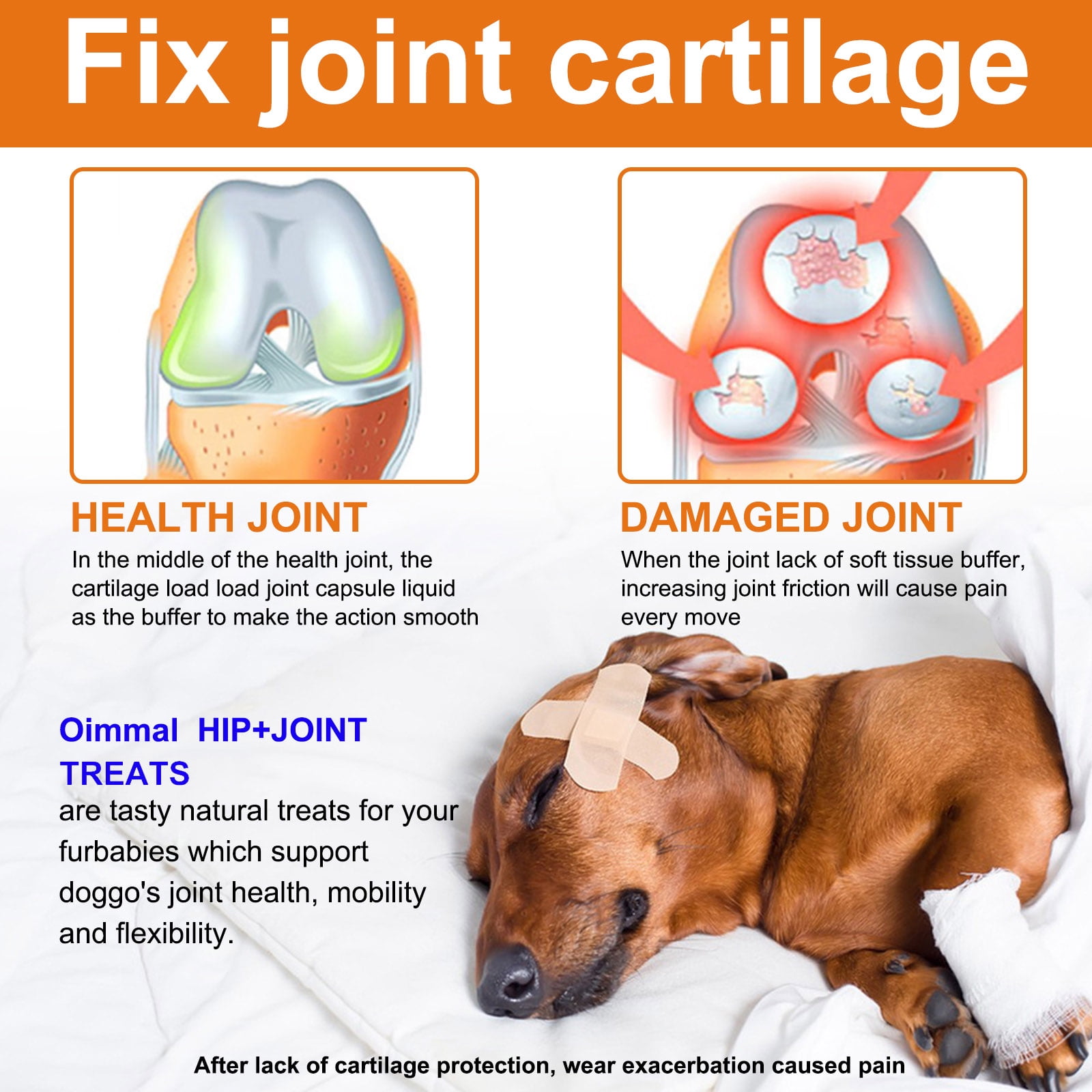 Oimmal Hip and Joint Supplement for Dogs - 60 Soft Chews(Duck Flavor) with Glucosamine Chondroitin, MSM, Help Dog Joint Health, Fresher in Smaller Packages - 5pack