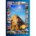 thumbnail image 1 of Pre-Owned Falling Uphill (Paperback) 0982784287 9780982784280, 1 of 1